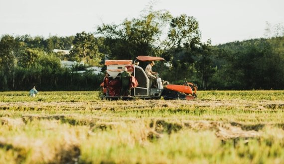 Agrochemical Packaging Solutions